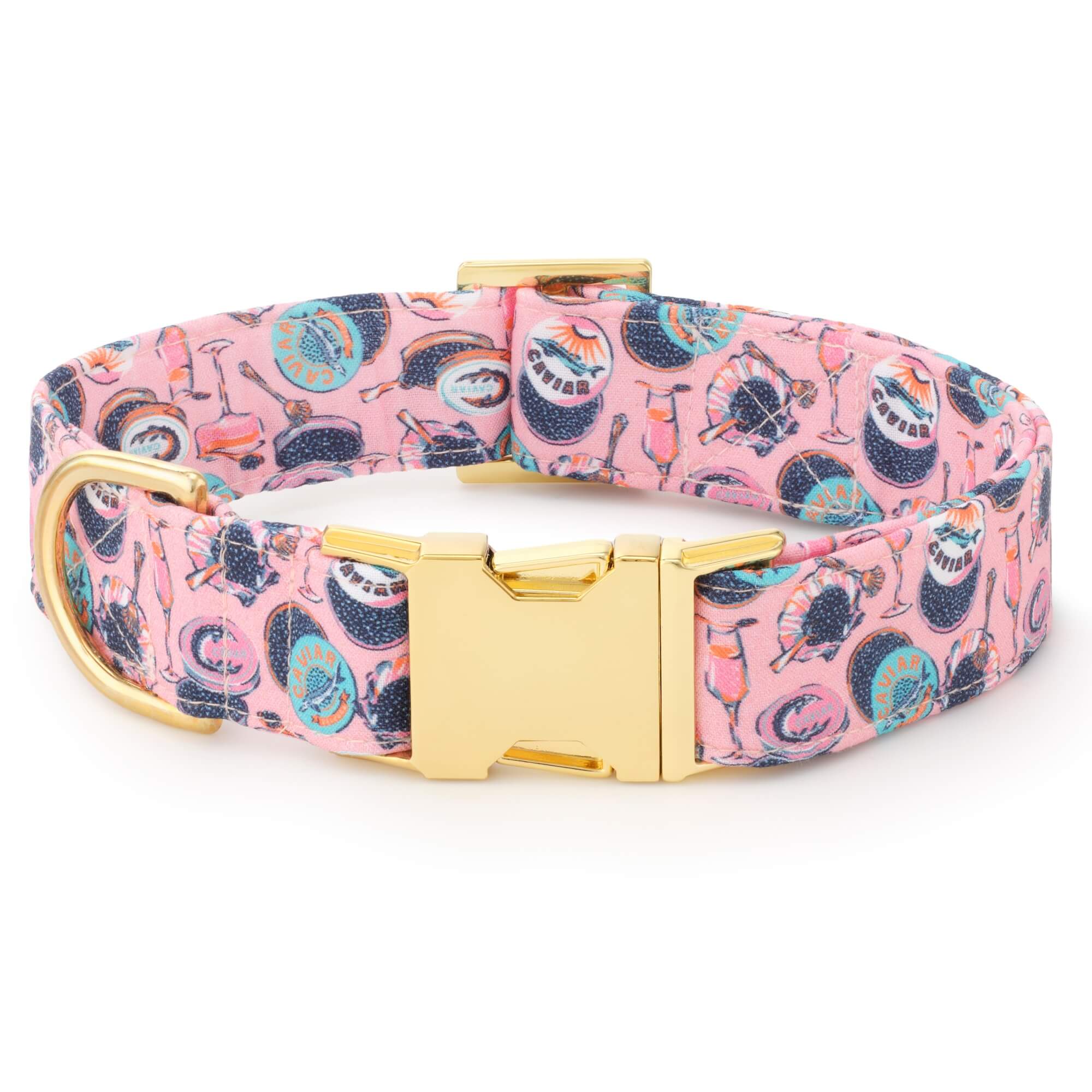For Your New Dog